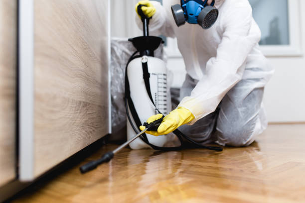 Trusted Wells, MN Pest Control Experts