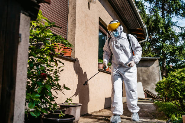 Best Best Pest Control Companies  in Wells, MN