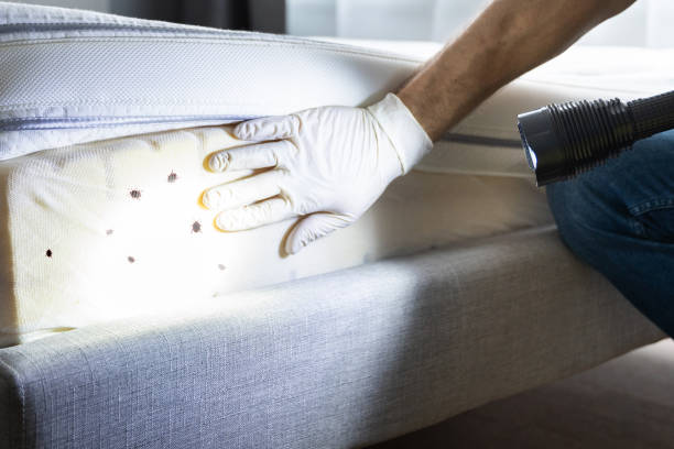 Pest Prevention Services in Wells, MN